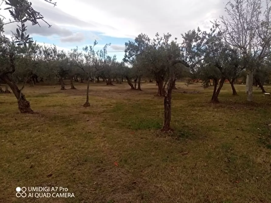 Immagine 10 di Rustico / casale in vendita  in VIA VECCHIA SCORCIOSA a Fossacesia