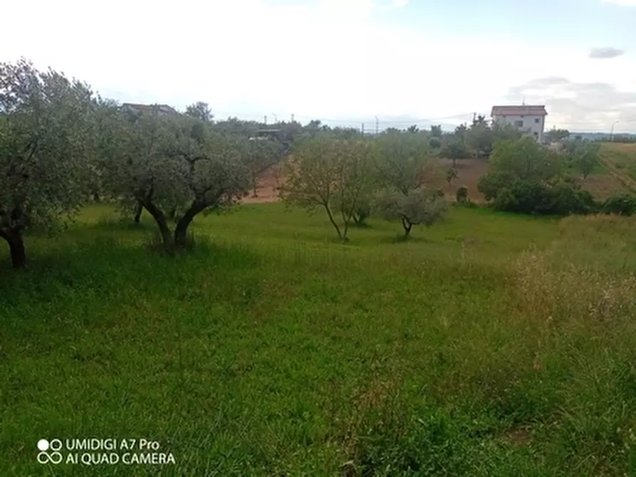 Immagine 8 di Terreno agricolo in vendita  in CONTRADA MARCIANESE a Lanciano