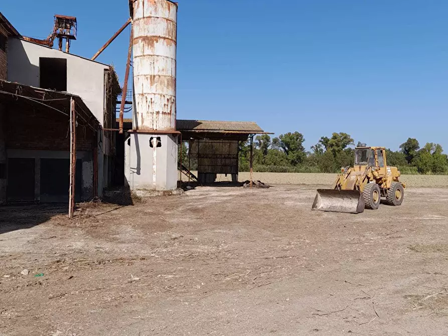 Immagine 14 di Attività artigianale in vendita  in C.DA PIANA LA BARCA a Paglieta