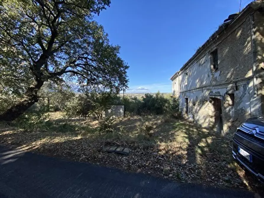 Immagine 11 di Porzione di casa in vendita  in CONTRADA PORRECHI a Castel Frentano