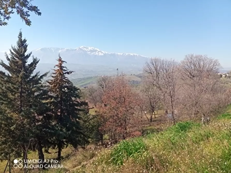 Immagine 14 di Rustico / casale in vendita  in CONTRADA MORGE a Castel Frentano