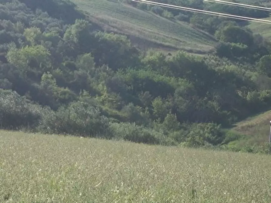 Immagine 19 di Terreno agricolo in vendita  in C.DA RIZZACORNO a Lanciano