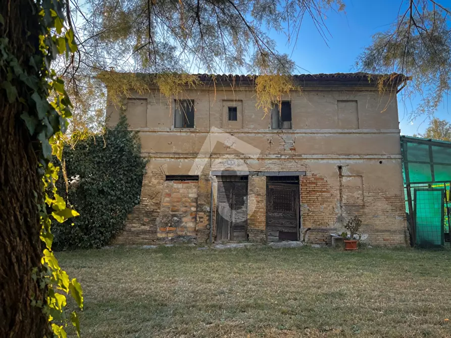 Immagine 24 di Rustico / casale in vendita  a Jesi