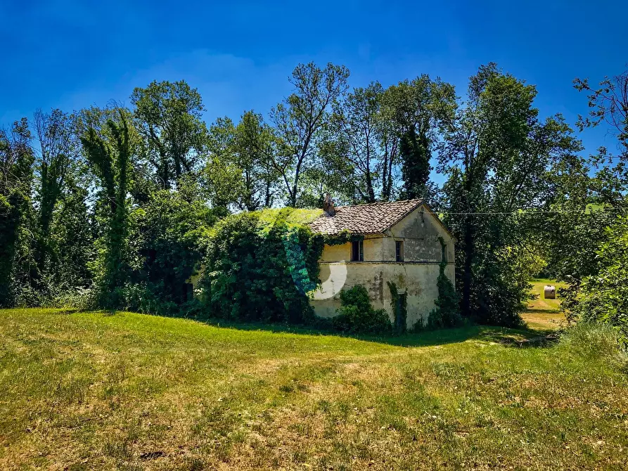 Immagine 1 di Rustico / casale in vendita  a Trecastelli