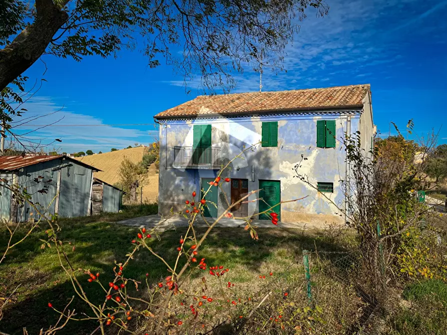 Immagine 3 di Rustico / casale in vendita  a Belvedere Ostrense