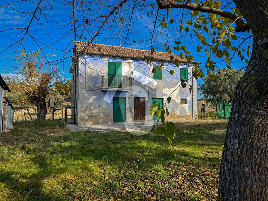 Immagine 1 di Rustico / casale in vendita  a Belvedere Ostrense