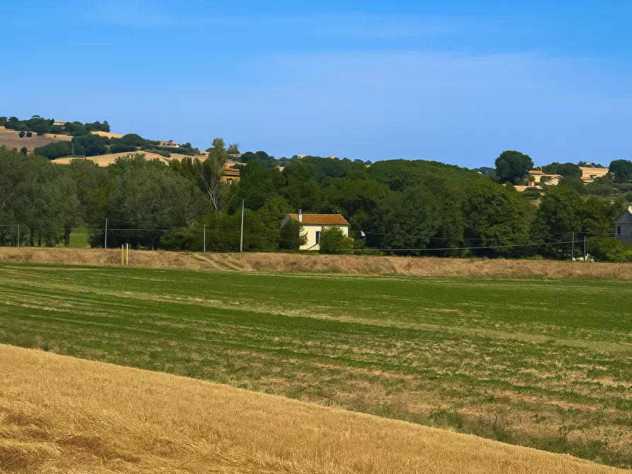 Immagine 24 di Rustico / casale in vendita  a Senigallia