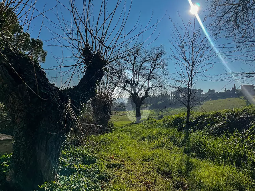 Immagine 37 di Rustico / casale in vendita  a Jesi