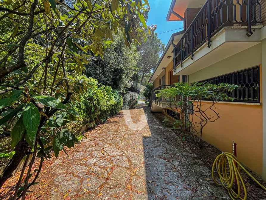 Immagine 50 di Villa in vendita  a Jesi