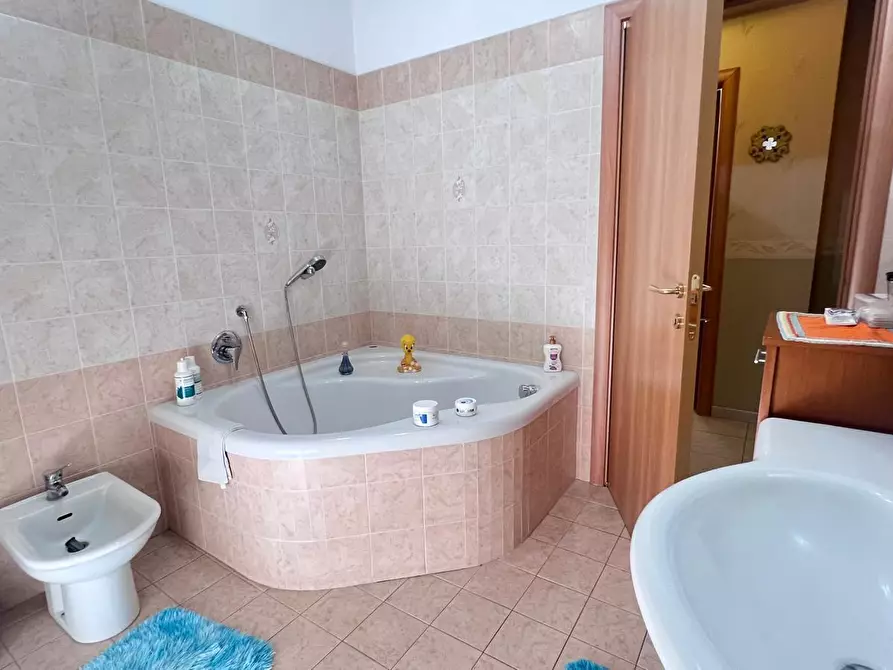 Immagine 15 di Appartamento in vendita  a Catania