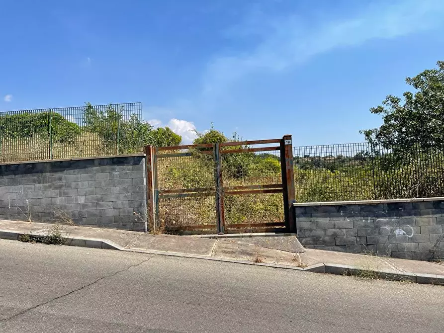 Immagine 2 di Terreno agricolo in vendita  a Tremestieri Etneo