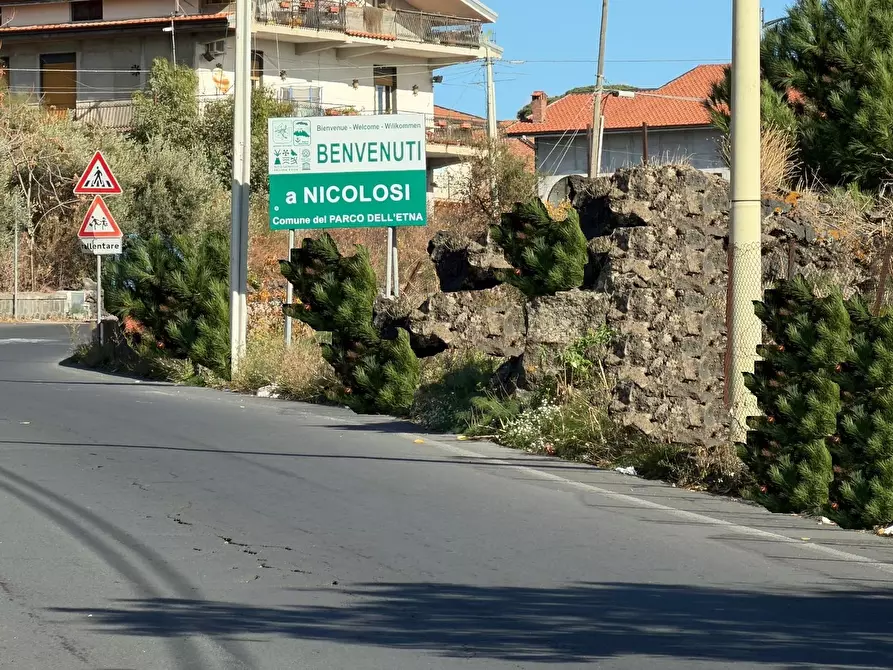 Immagine 10 di Terreno agricolo in vendita  a Nicolosi