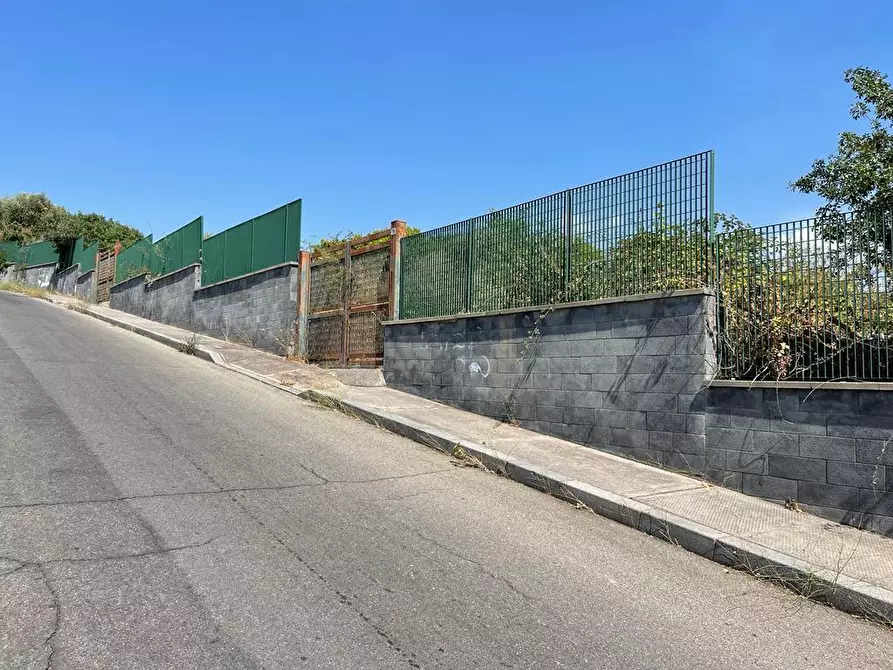 Immagine 3 di Terreno agricolo in vendita  a Tremestieri Etneo