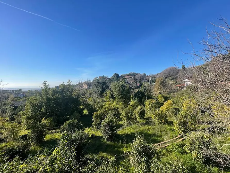 Immagine 13 di Terreno industriale in vendita  a Trecastagni