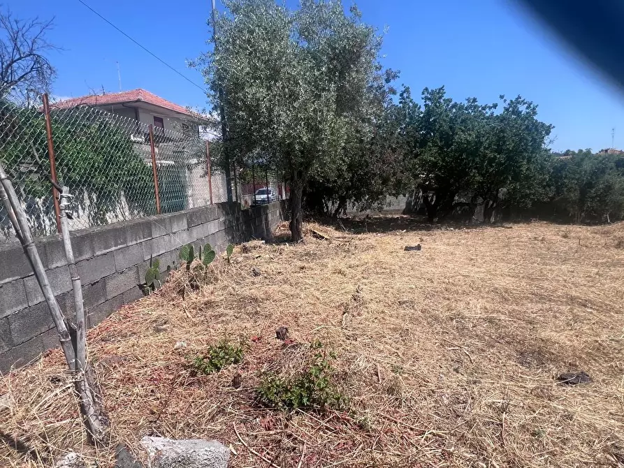 Immagine 6 di Terreno agricolo in vendita  a Tremestieri Etneo