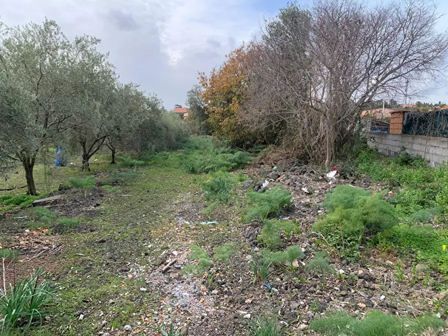 Immagine 23 di Terreno agricolo in vendita  a Pedara