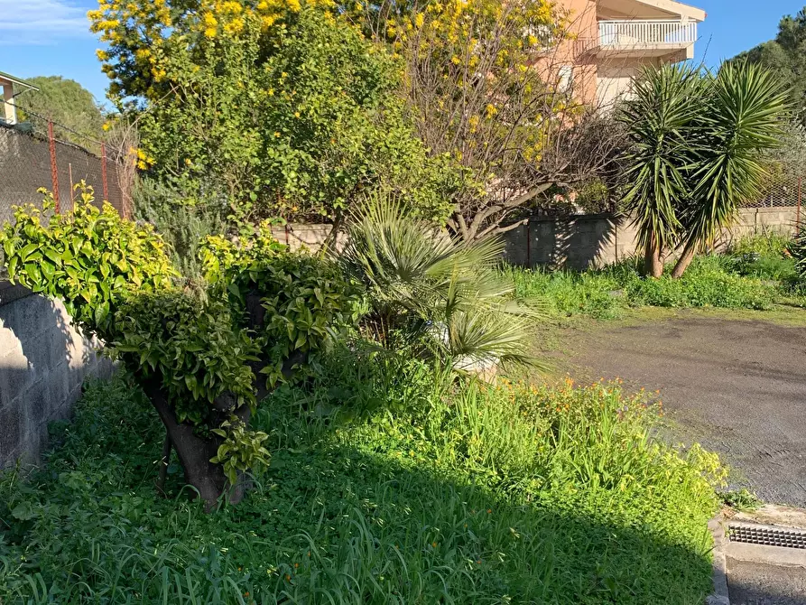 Immagine 31 di Villa in vendita  a Mascalucia