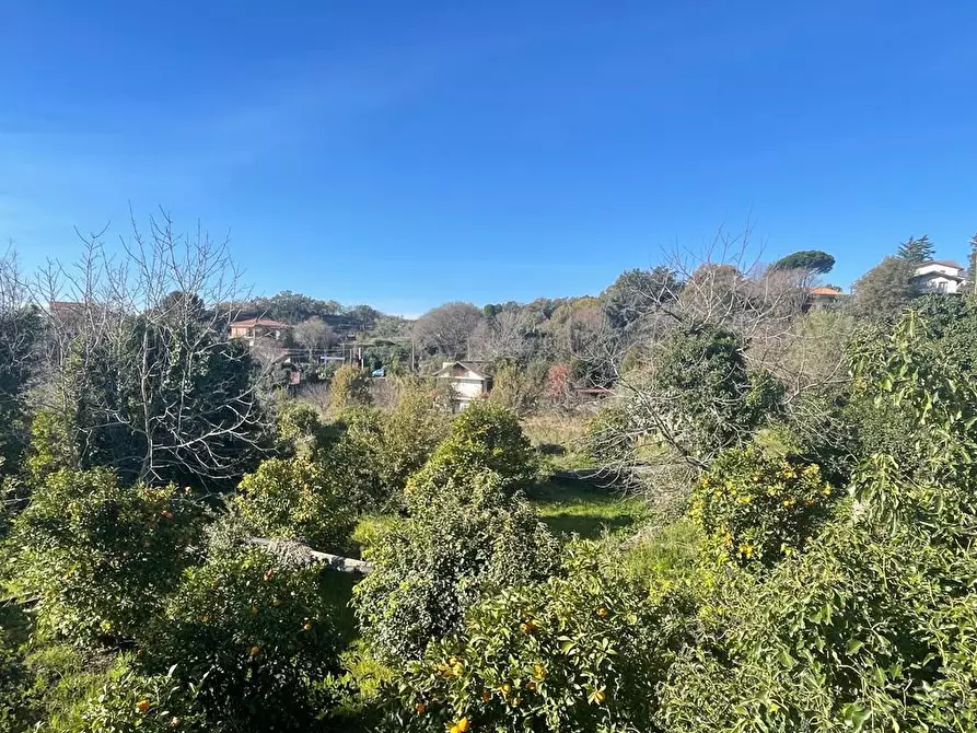 Immagine 17 di Terreno industriale in vendita  a Trecastagni