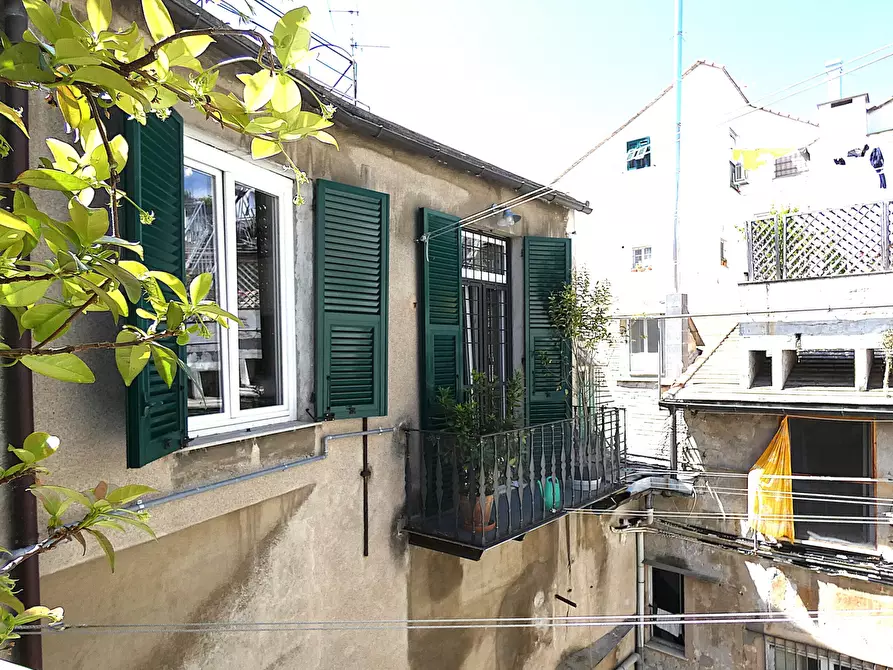 Immagine 37 di Appartamento in vendita  in Campetto 8A a Genova