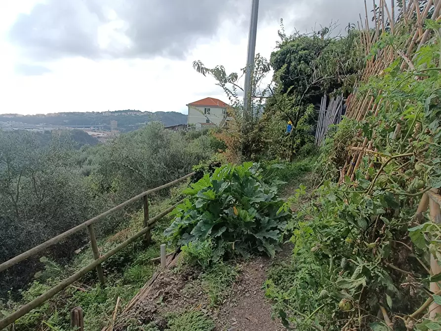 Immagine 84 di Casa indipendente in vendita  in Via al Garbo 39 a Genova