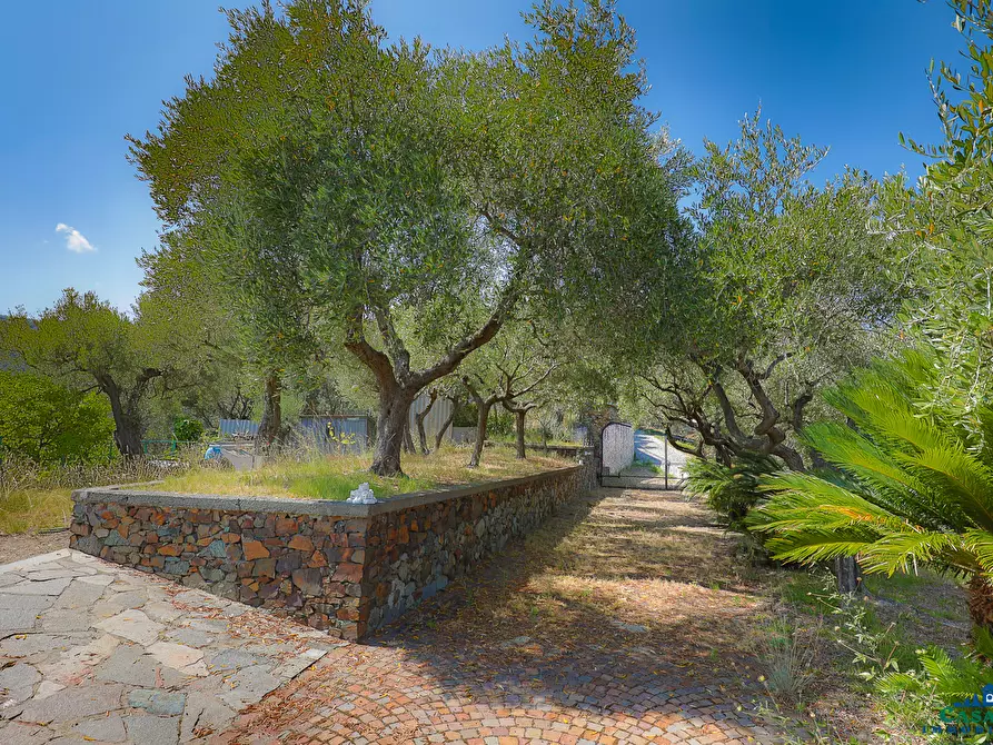 Immagine 29 di Villa in vendita  in Via Livio Canale 72 a Varazze