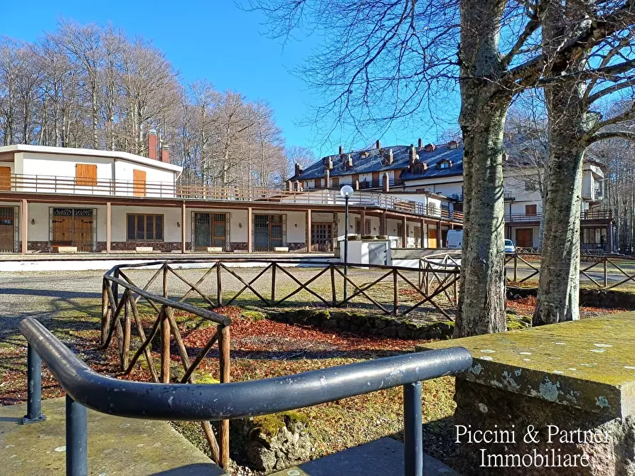 Immagine 32 di Bilocale in vendita  in Prato della Marsiliana Monte Amiata a Seggiano