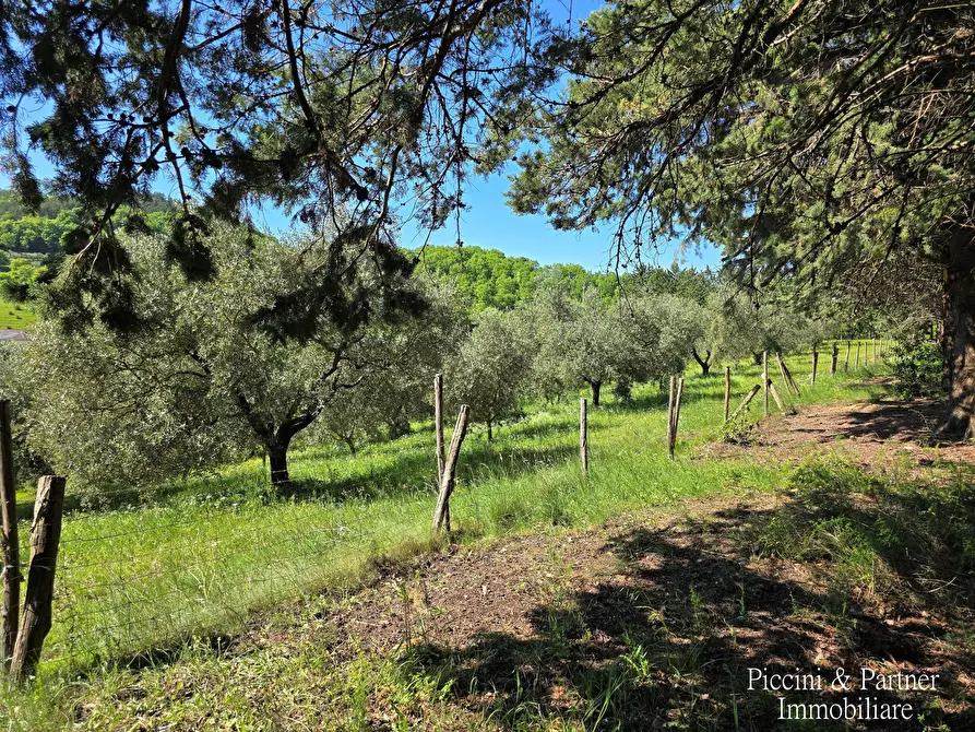 Immagine 5 di Rustico / casale in vendita  in Migianella a Umbertide