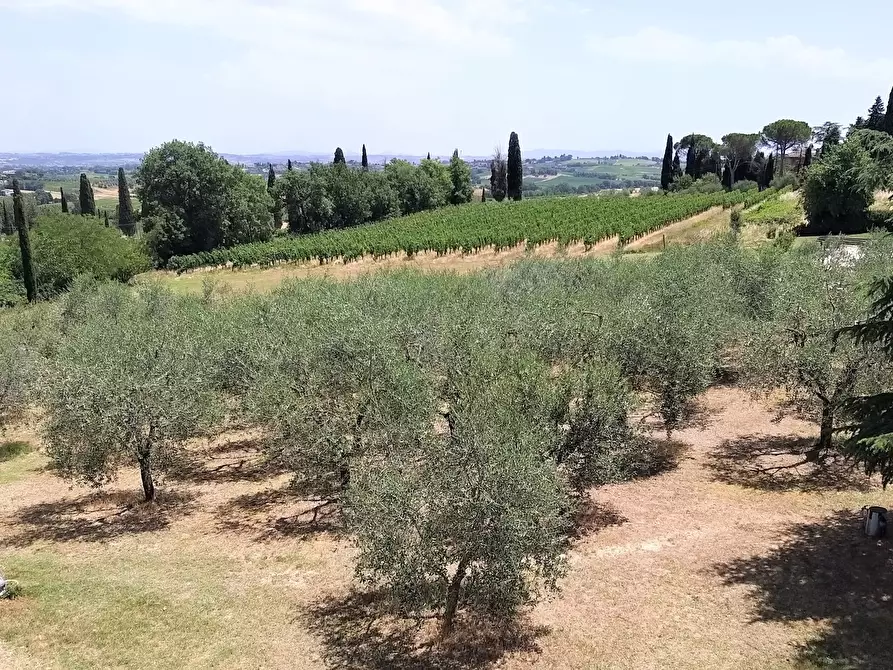 Immagine 16 di Terreno agricolo in vendita  in Via Ascianello a Montepulciano