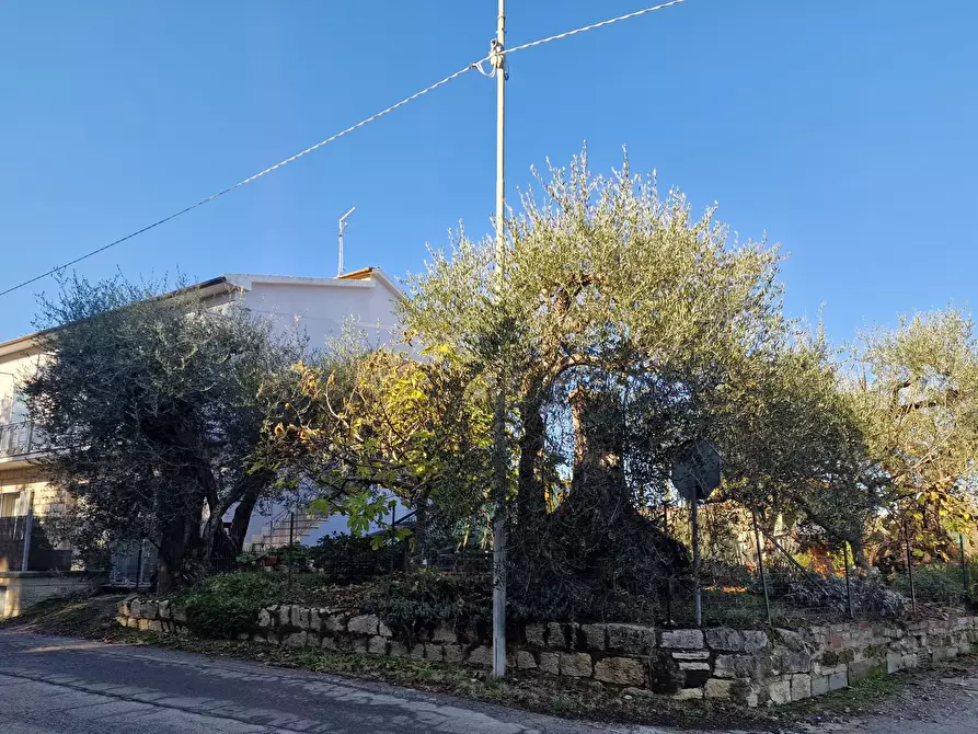 Immagine 2 di Pentalocale in vendita  in Via Umbria 49 a Montepulciano