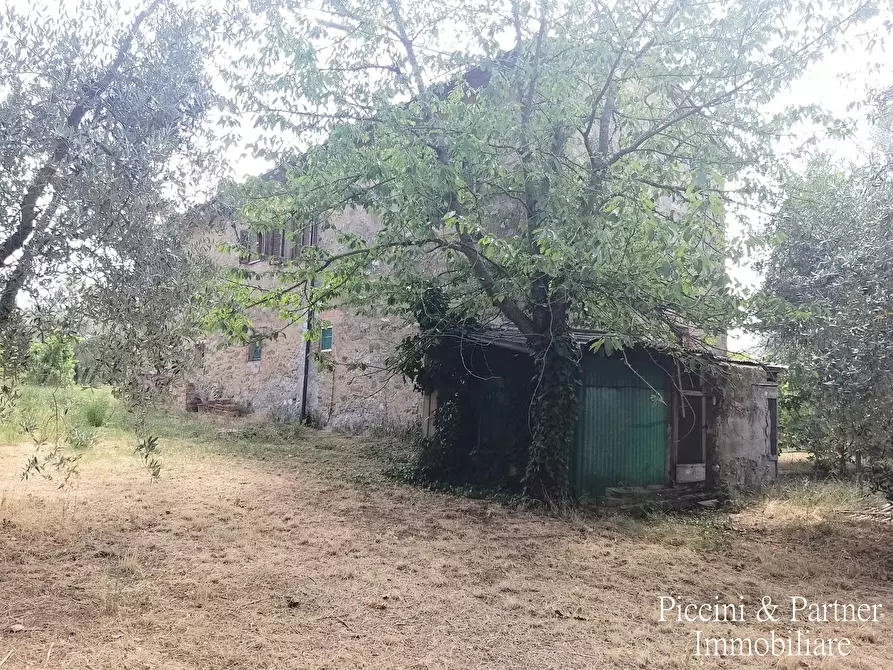 Immagine 24 di Rustico / casale in vendita  in 344R+84 Panicale a Panicale
