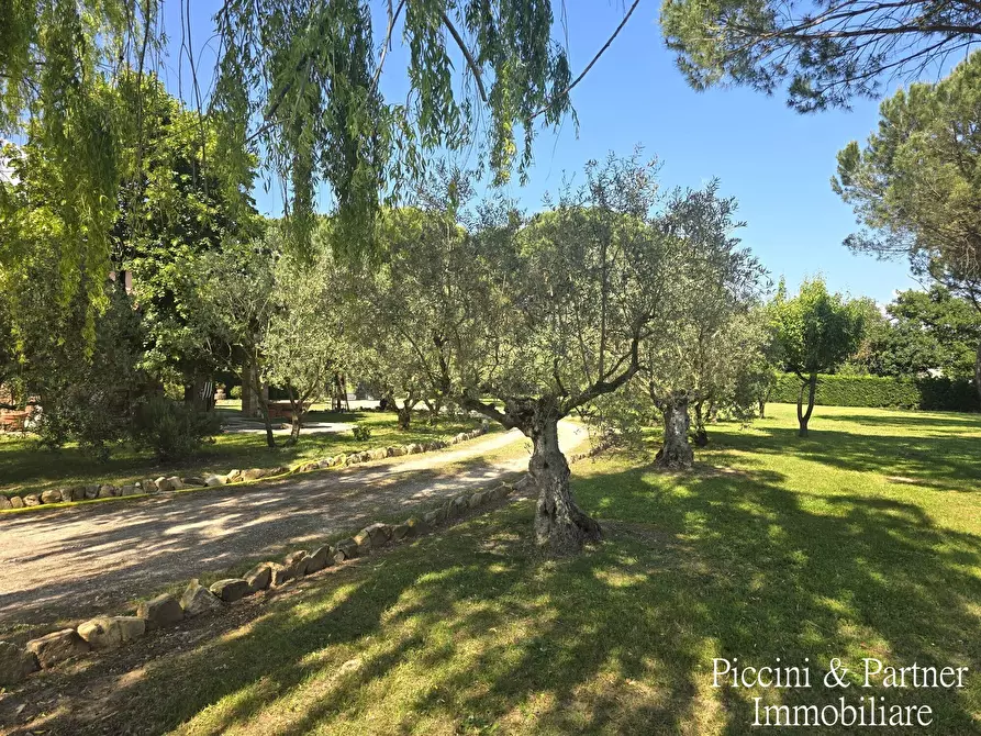 Immagine 85 di Villa in vendita  in Località Castagni 2 a Castiglione Del Lago