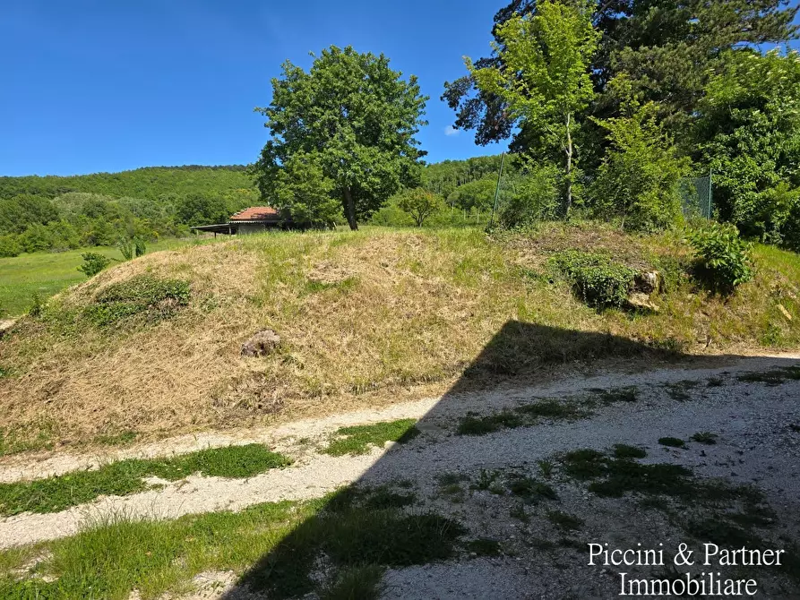 Immagine 65 di Rustico / casale in vendita  a Assisi