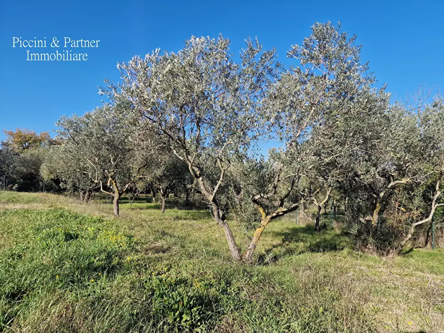 Immagine 76 di Rustico / casale in vendita  in Località San Lorenzo a Castel Ritaldi
