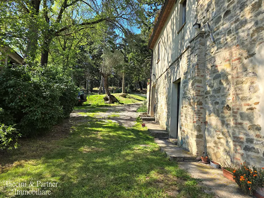 Immagine 8 di Rustico / casale in vendita  in Migianella a Umbertide