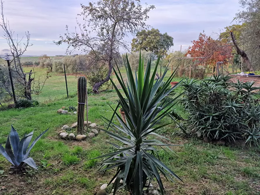 Immagine 36 di Rustico / casale in vendita  in Vocabolo Mercato Alto a Paciano