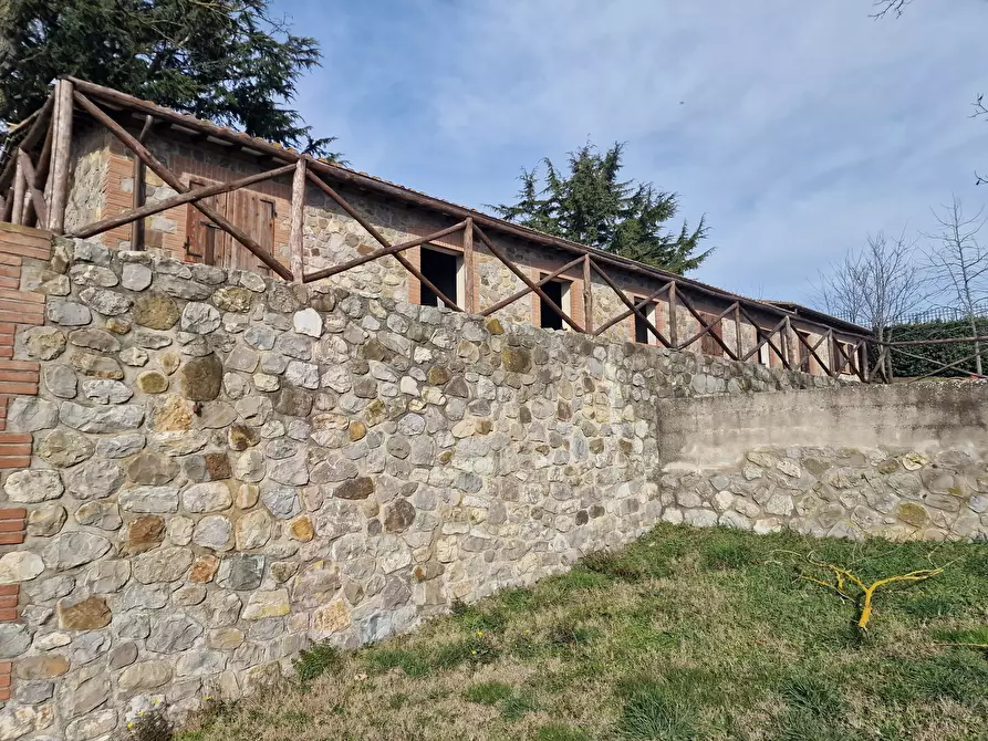 Immagine 66 di Rustico / casale in vendita  in Via del Conventaccio a Ficulle