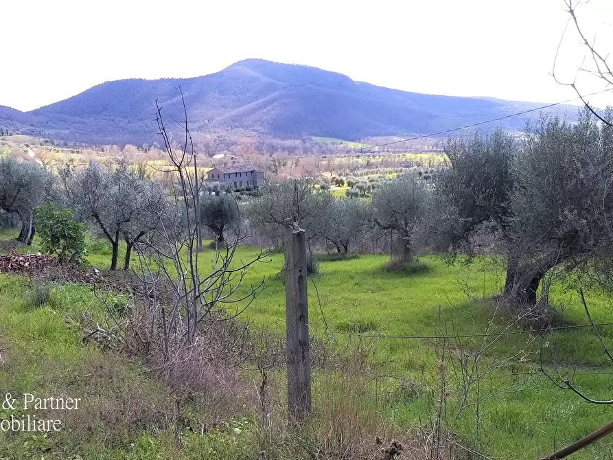 Immagine 21 di Porzione di casa in vendita  in Via dei Mandorli 49 a Panicale