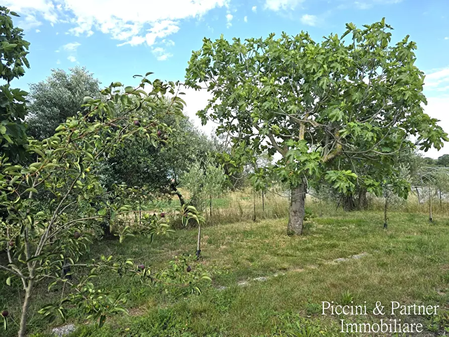 Immagine 76 di Casa indipendente in vendita  in Località Mecucciami 14 a Castiglione Del Lago