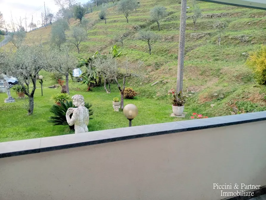 Immagine 31 di Villa in vendita  in Via Giovan Pietro Vitali a Massa