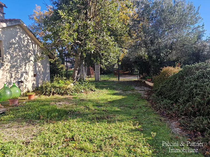 Immagine 80 di Agriturismo in vendita  in Località San Lorenzo a Castel Ritaldi
