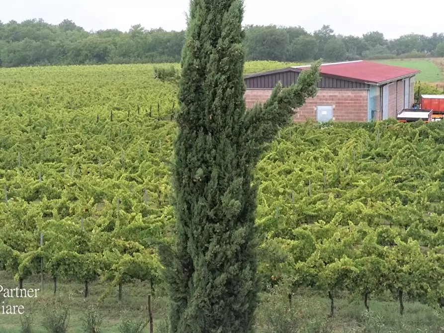 Immagine 12 di Rustico / casale in vendita  in Località Croce 68 a Castiglione Del Lago