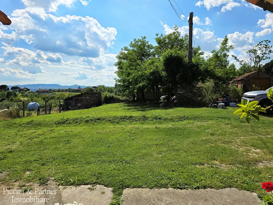 Immagine 6 di Terratetto in vendita  in Via Napoli a Castiglione Del Lago