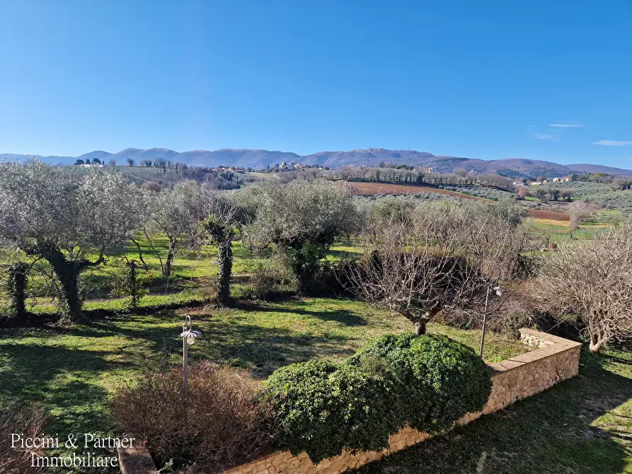 Immagine 41 di Agriturismo in vendita  in Località San Lorenzo a Castel Ritaldi