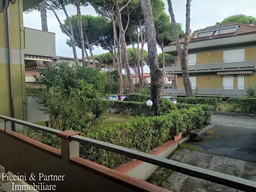 Immagine 14 di Quadrilocale in vendita  in Via Montecatini a Massa