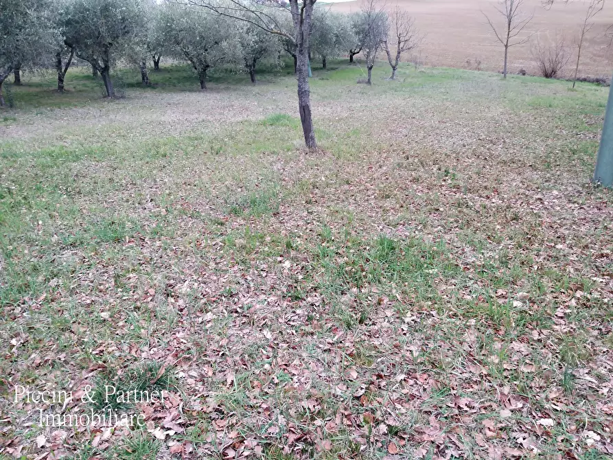 Immagine 25 di Porzione di casa in vendita  in SP301 54 a Castiglione Del Lago