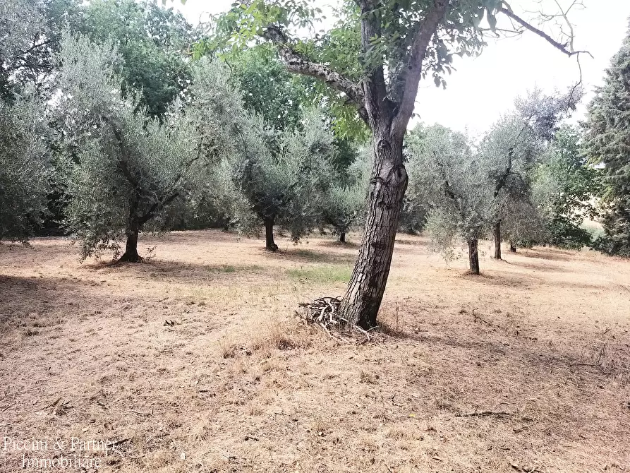 Immagine 41 di Rustico / casale in vendita  in 342W+VM Panicale a Panicale