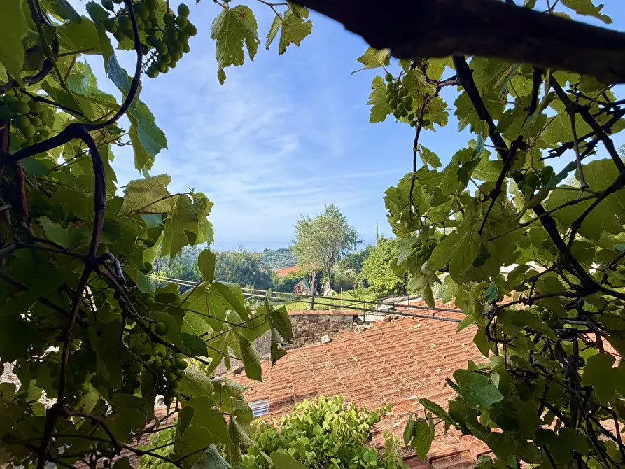 Immagine 18 di Villa in vendita  in Via San Leonardo 48 a Diano Marina