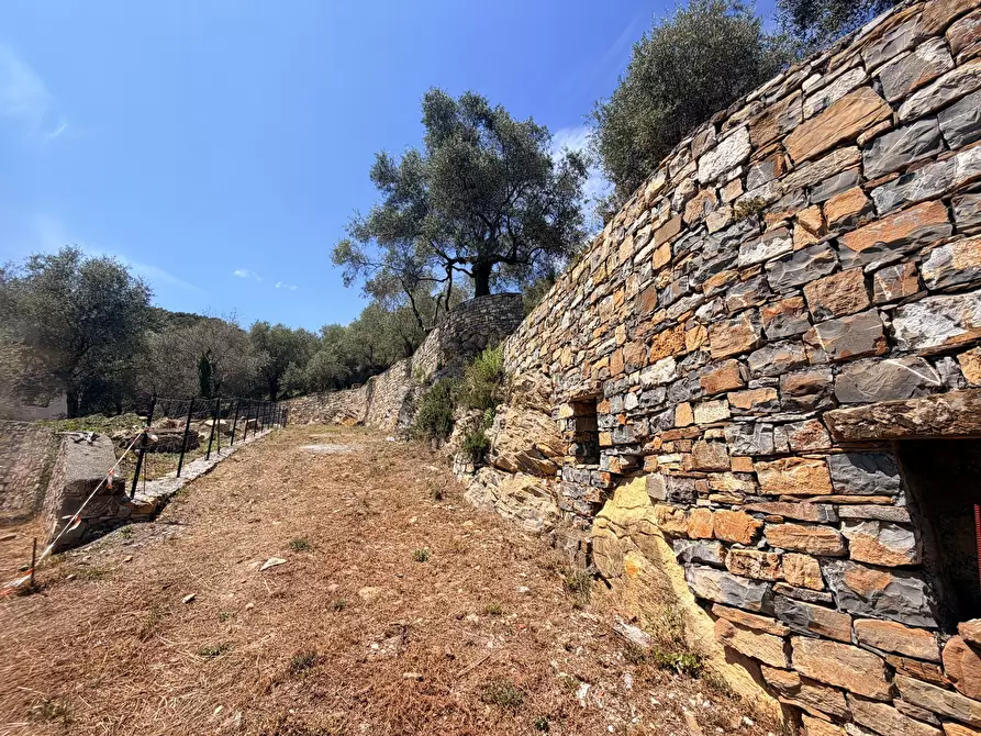 Immagine 5 di Villa in vendita  in Strada Interpoderale Moltedo - Ciai 13 a Diano San Pietro