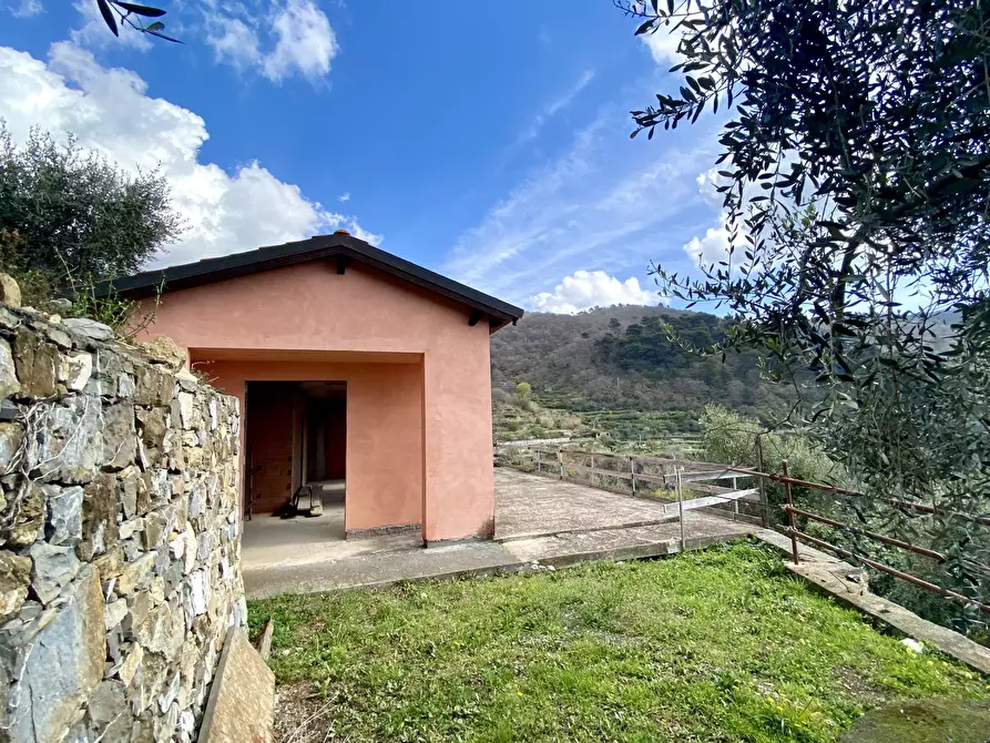 Immagine 5 di Villa in vendita  in Via F. Cascione 31 a Villa Faraldi