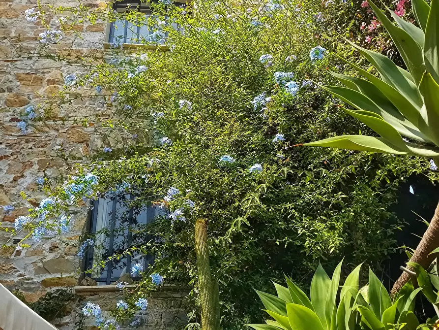 Immagine 31 di Rustico / casale in vendita  in via Glori 36 a Diano San Pietro